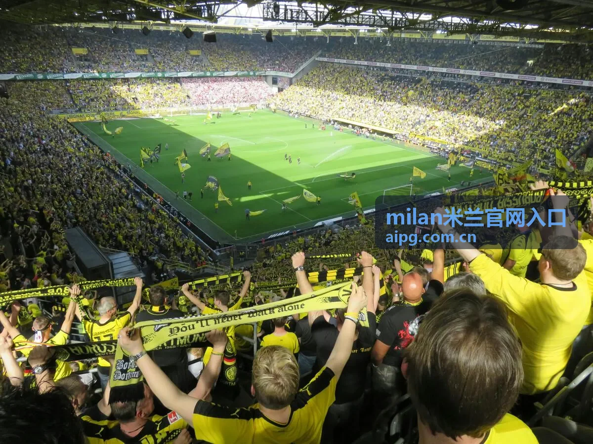 milan米兰官网入口 搜索引擎直达指南