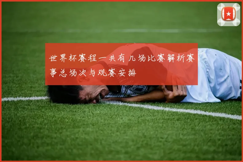 世界杯赛程一共有几场比赛解析赛事总场次与观赛安排