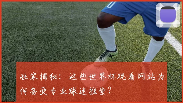 独家揭秘：这些世界杯观看网站为何备受专业球迷推崇？
