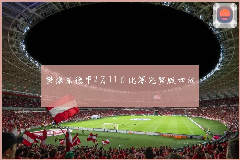 樊振东德甲2月11日比赛完整版回放