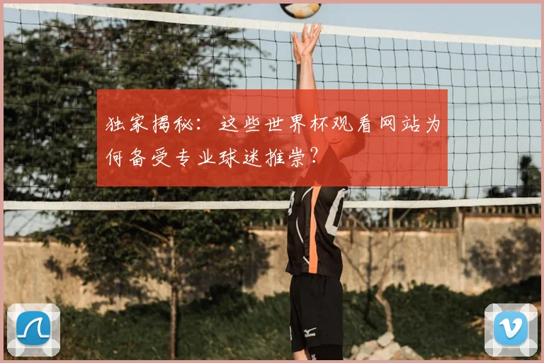独家揭秘：这些世界杯观看网站为何备受专业球迷推崇？