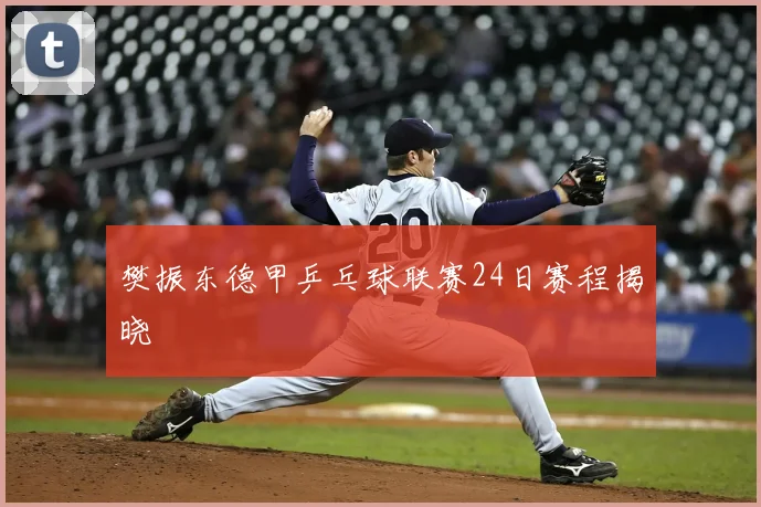 樊振东德甲乒乓球联赛24日赛程揭晓