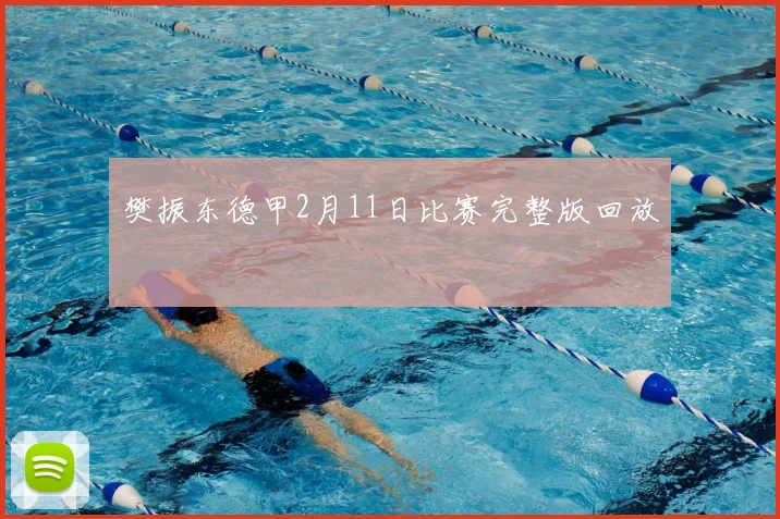 樊振东德甲2月11日比赛完整版回放