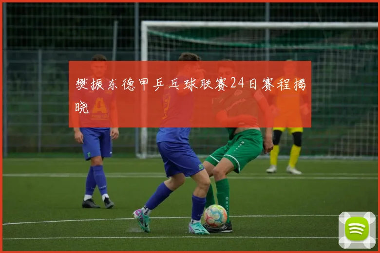 樊振东德甲乒乓球联赛24日赛程揭晓