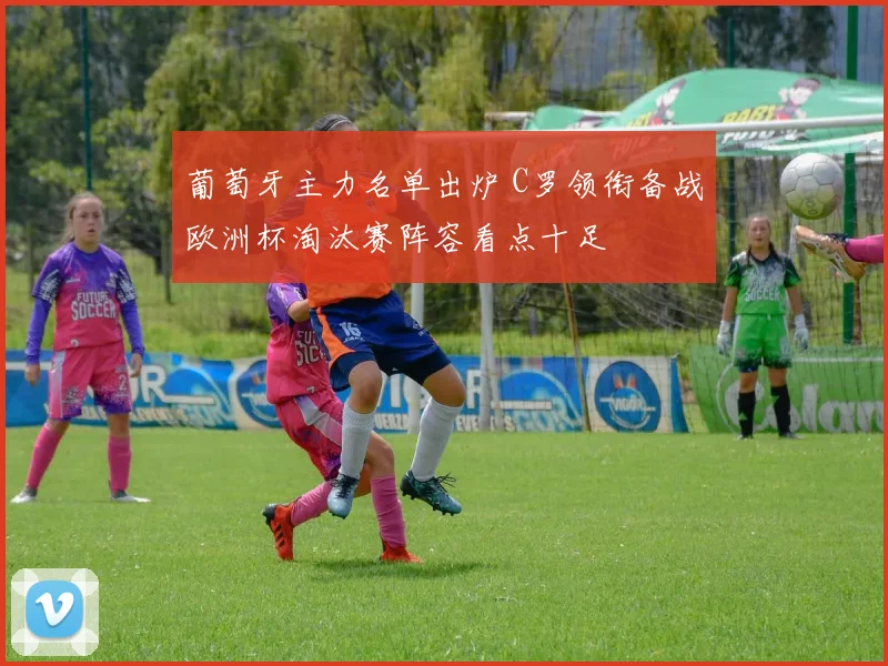 葡萄牙主力名单出炉 C罗领衔备战欧洲杯淘汰赛阵容看点十足