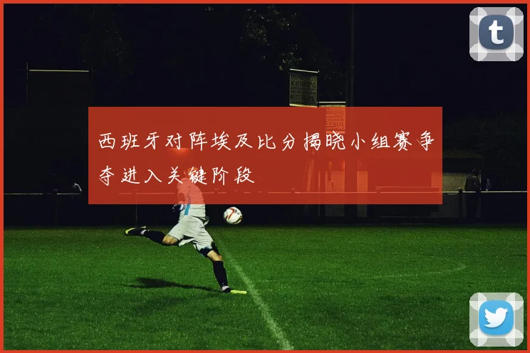 西班牙对阵埃及比分揭晓小组赛争夺进入关键阶段