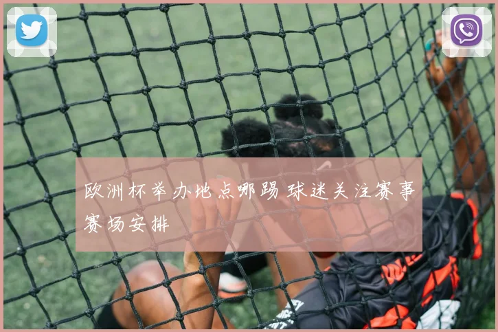 欧洲杯举办地点哪踢 球迷关注赛事赛场安排
