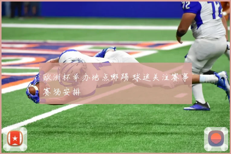 欧洲杯举办地点哪踢 球迷关注赛事赛场安排