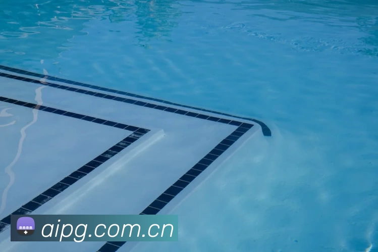 世界杯官方网络平台平台生态图