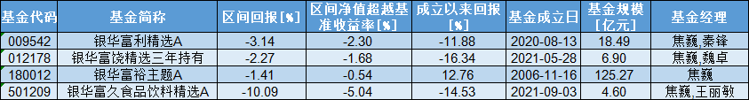 “南宋派”银华焦巍2024四季报“千字文”：四只产品未达预期 直面被动管理与新消费、AI挑战